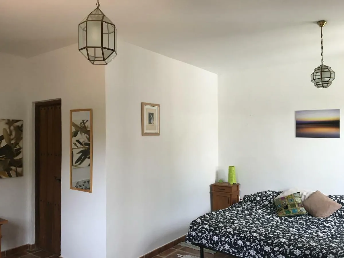 The House Of Oranges Bed & Breakfast Salares Spain