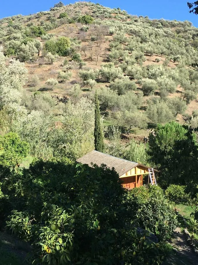 The House Of Oranges Bed & Breakfast Salares