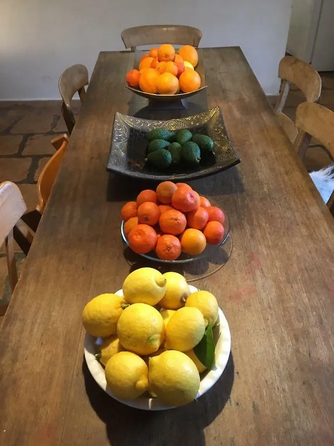 The House Of Oranges Bed & Breakfast Salares Spain